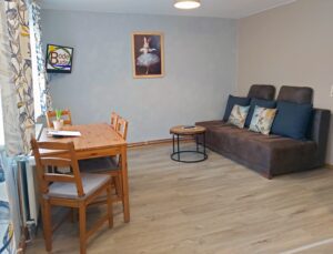 Wohnbereich Apartment