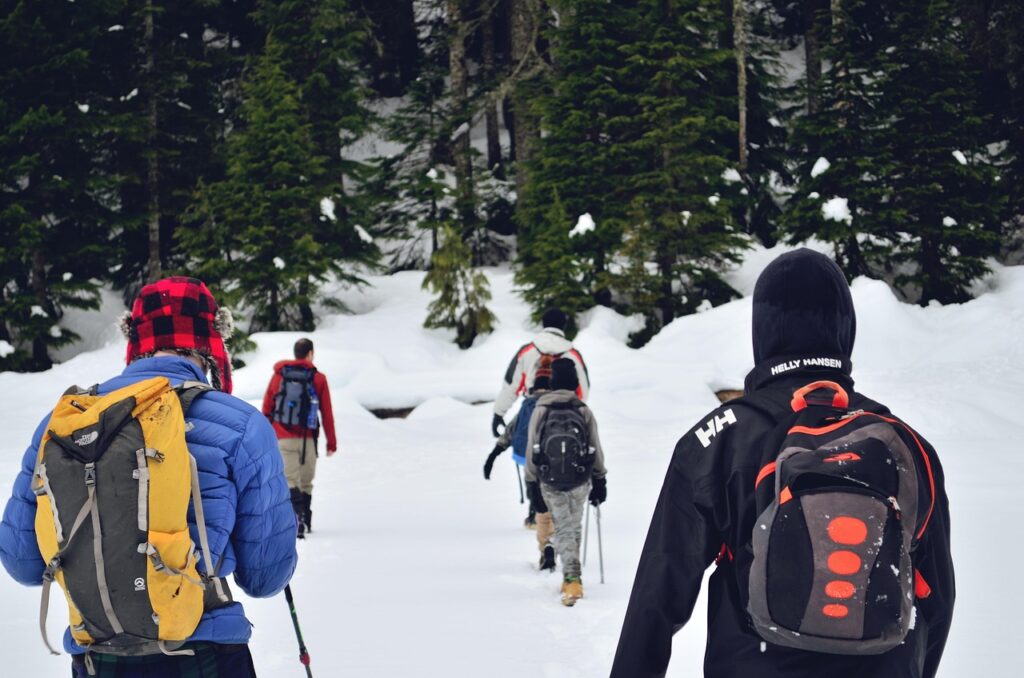 group hike, snow hike, hiking, nature, snow, cold, mountains, group, mountain, alpine, landscape, hike, summit, sky, winter, snowy