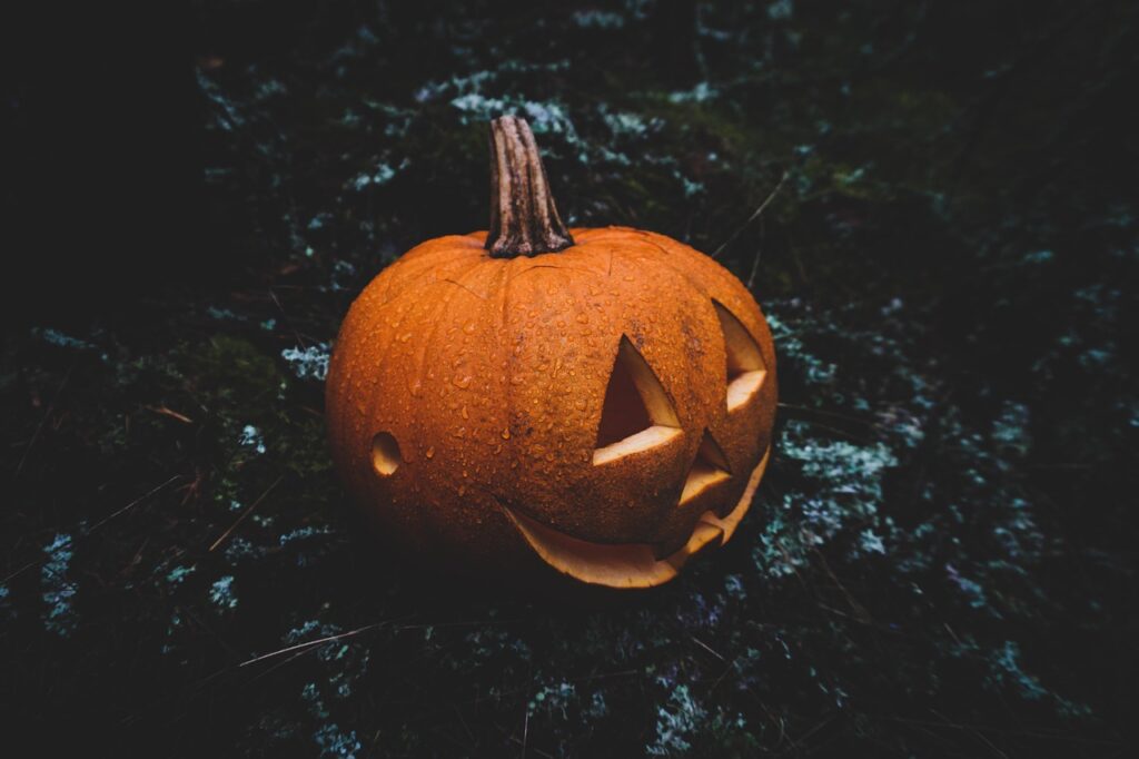 halloween, pumpkin, jack-o-lantern, carved pumpkin, halloween lantern, halloween decoration, halloween decor, spooky, creepy, scary