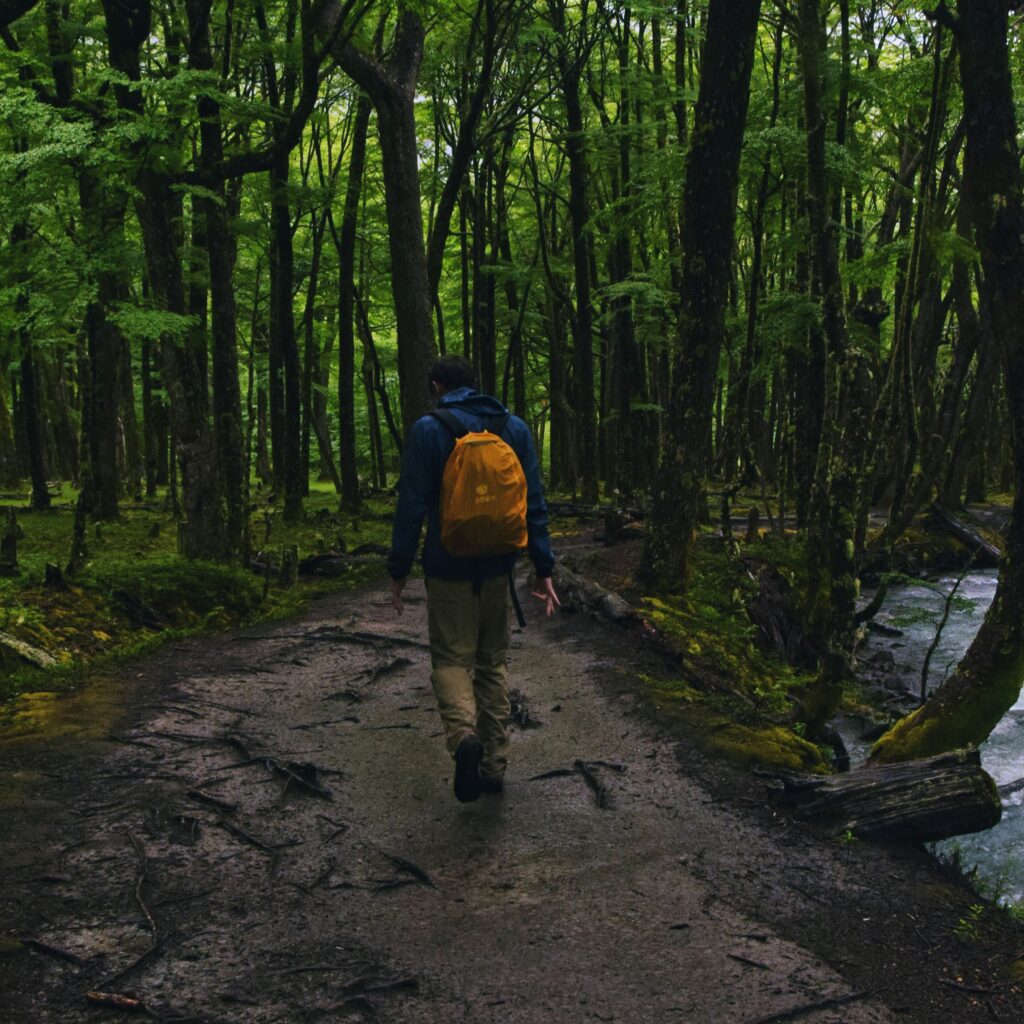A man in a blue jacket walks through a lush green forest path beside a river.